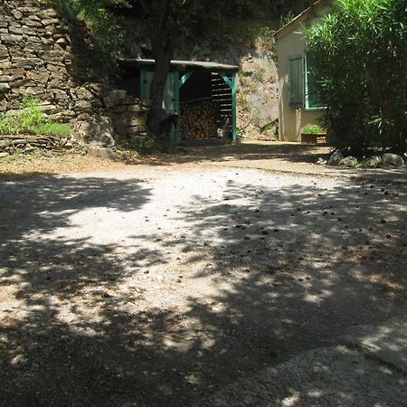 Le Petit Paradis Prémian Dış mekan fotoğraf