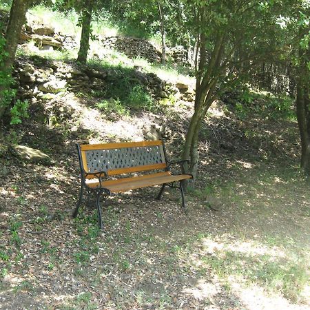 Le Petit Paradis Prémian Dış mekan fotoğraf